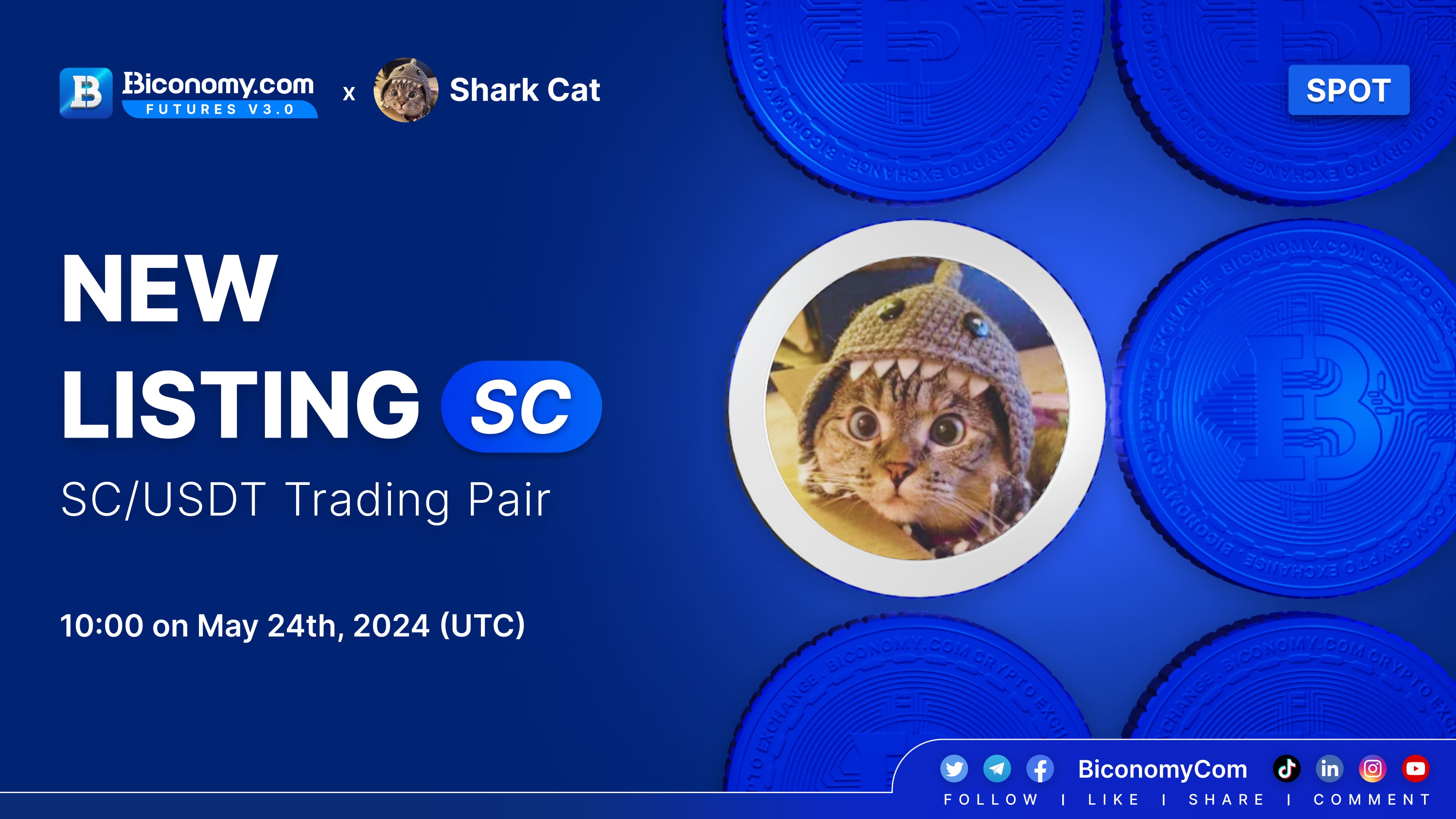 ZENDESK_New Listing_Shark Cat.jpg